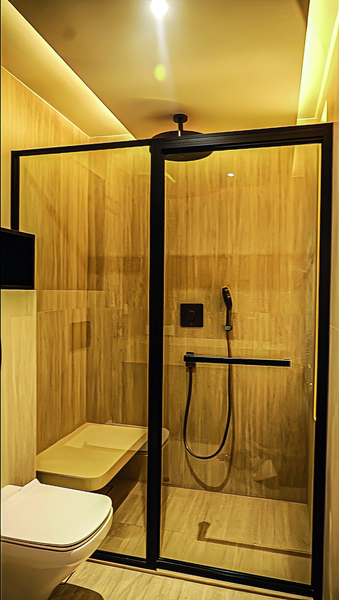 Graphite Shower Enclosure, Guest Suite · New Delhi